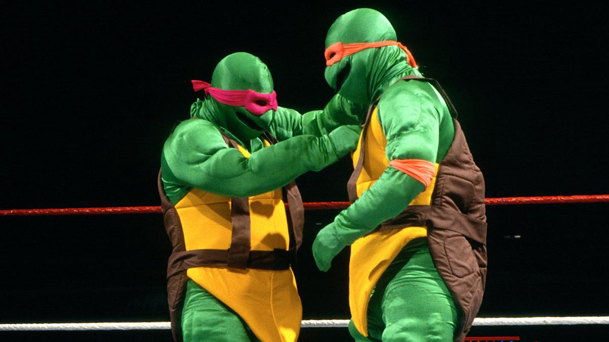 WRESTLING TURTLES